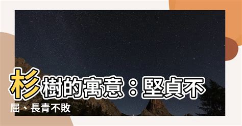 杉 寓意|杉樹寓意：永恆的生命